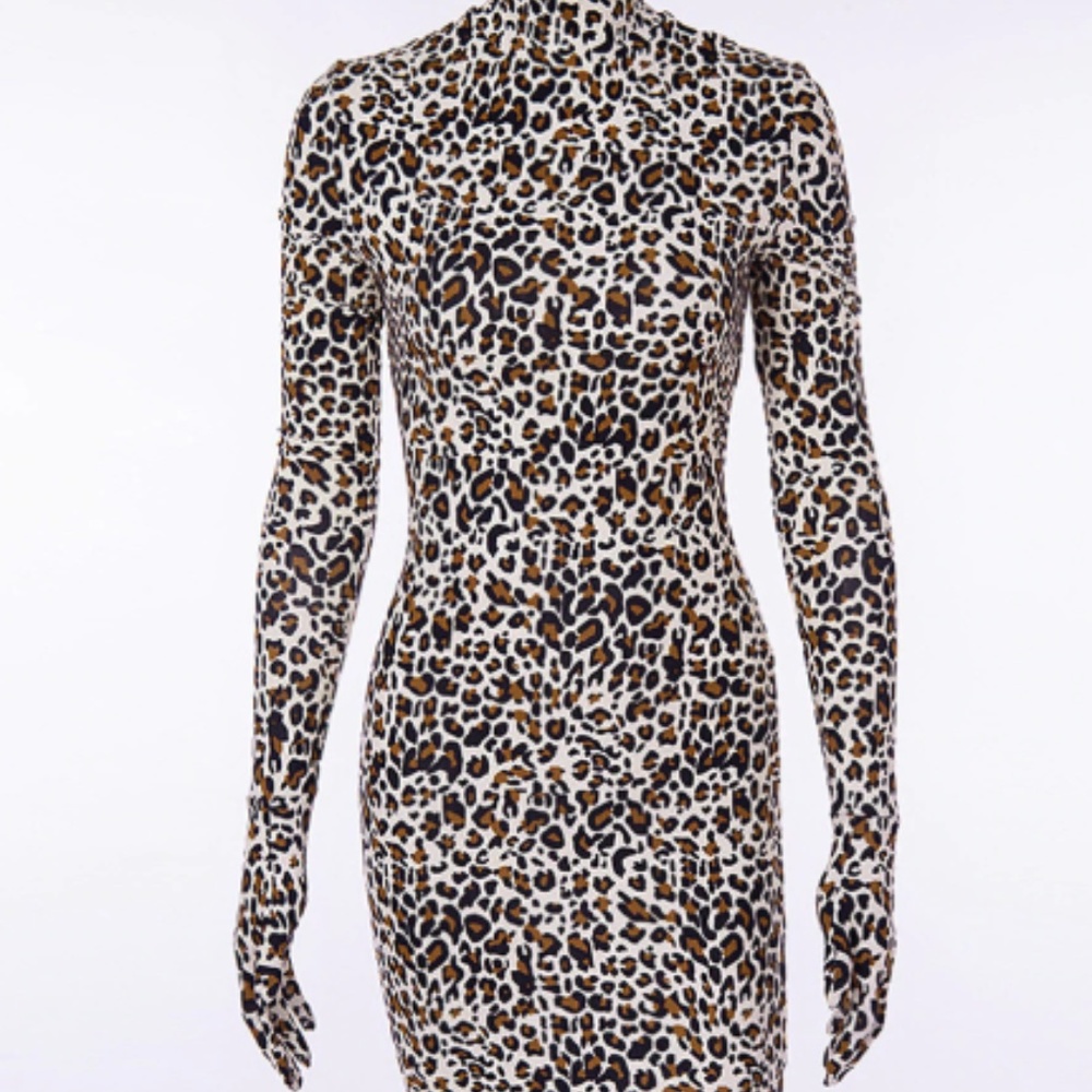 Leopard Fashion Dress